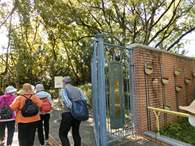 身近に手軽に 秋の歩こう会（長居公園方面）