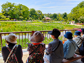 初夏の歩こう会　城北公園